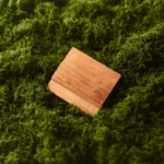 ThermoWood osika – obklad do sauny